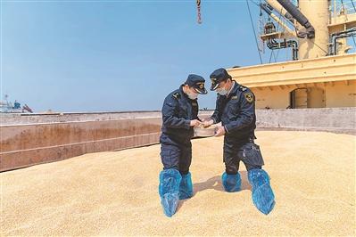 该批玉米为大连良运集团粮油购销从俄罗斯采购.